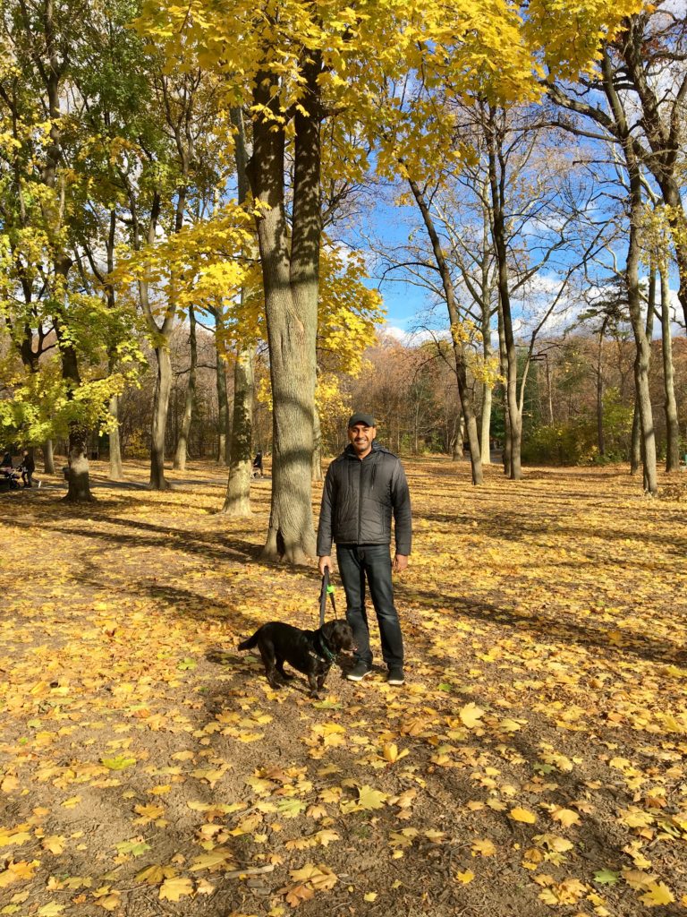 Things to do in Brooklyn: Walking our dog in Prospect Park