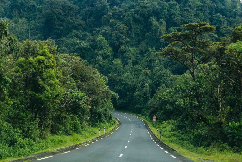 24-hours-in-kigali-rwanda-well-paved-road-surrounded-by-green-trees