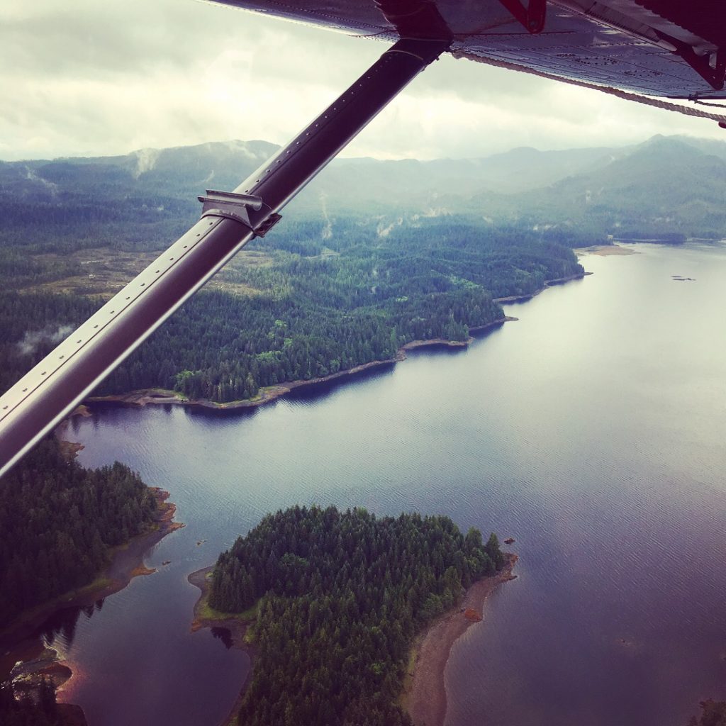 A view of the Misty Fjord monument from a seaplane
