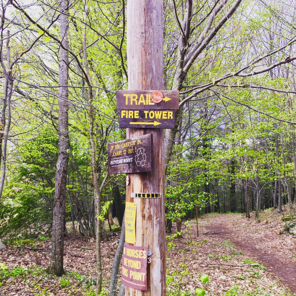 The beginning of the Overlook Mountain Trail