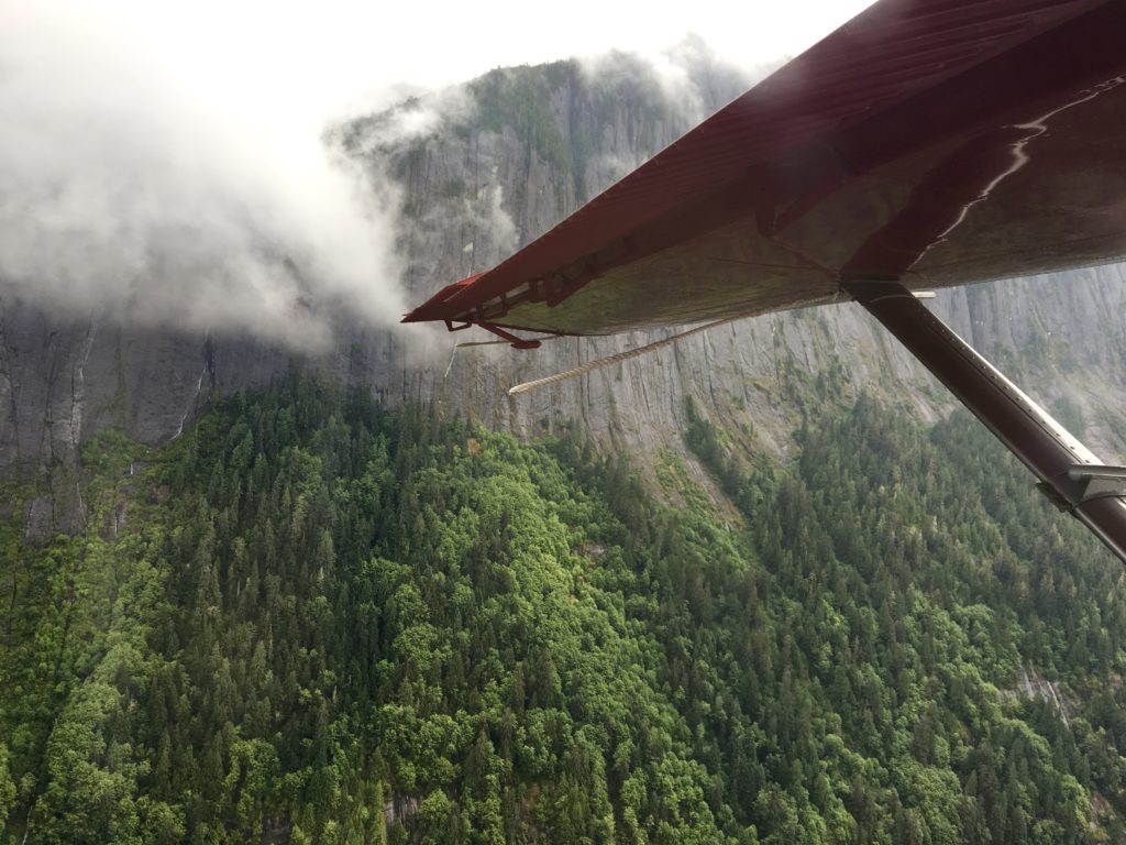 alaska cliff walls and greenery seen from a seaplane