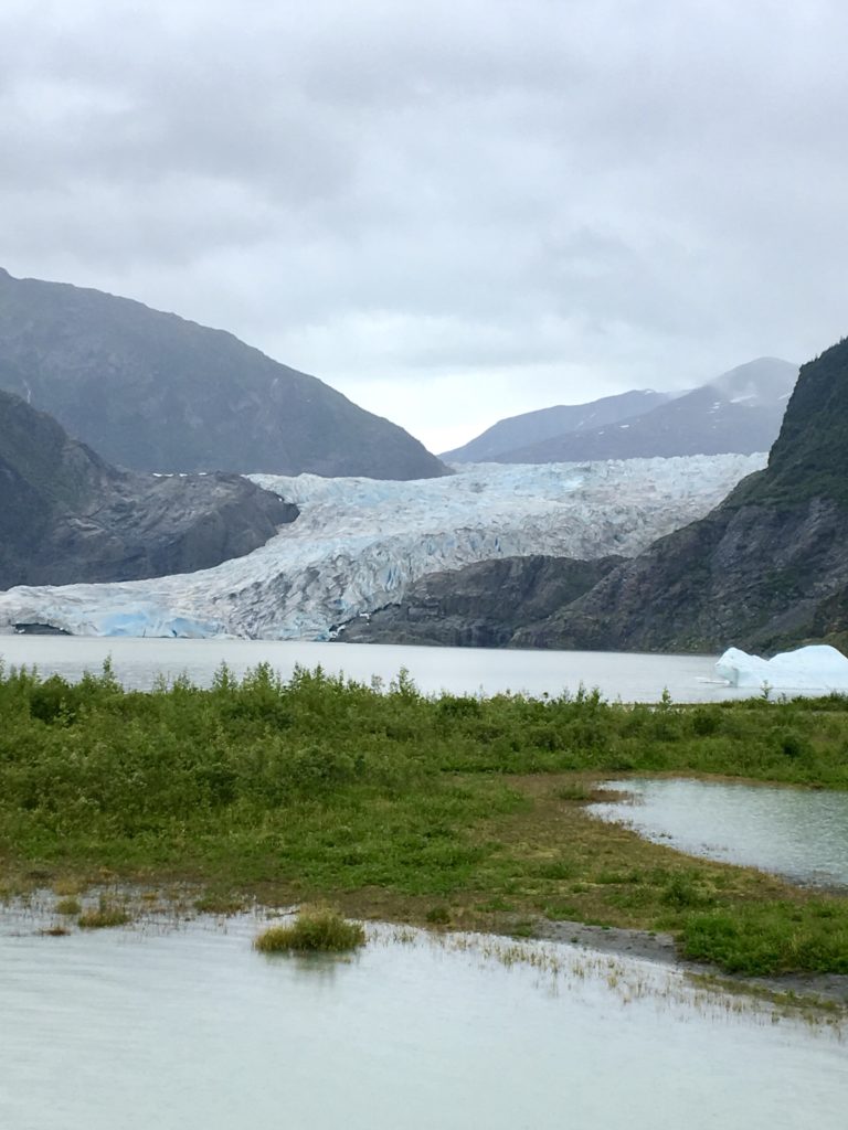 The Mendenhall Glacier in Juneau Alaska