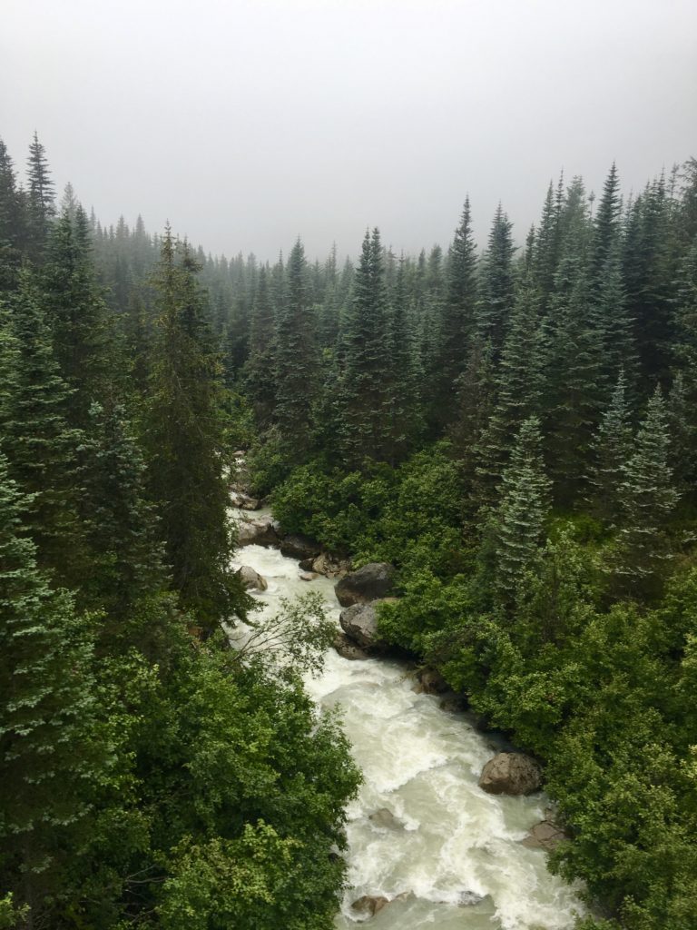 A waterfall along the White Pass Railway in Skagway, Alaska