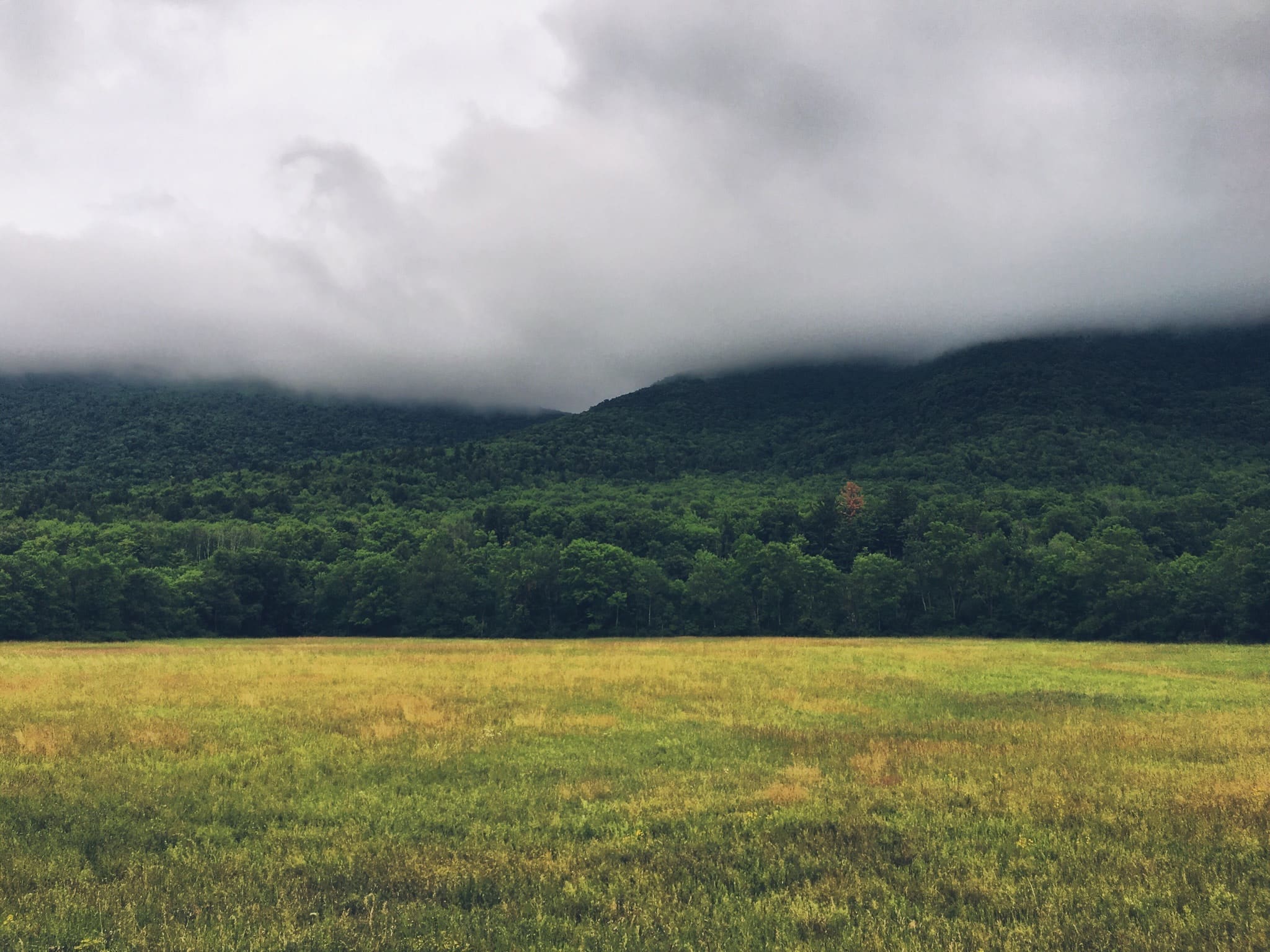 Secrets of the Catskills, NY  Things to Do & Unique Places to Stay