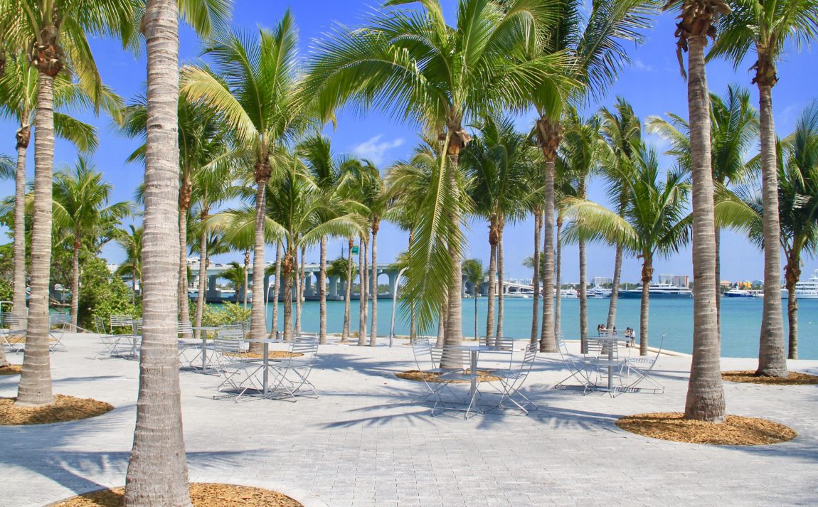 Palm Trees in Museum Park by Biscayne Bay in Downtown Miami
