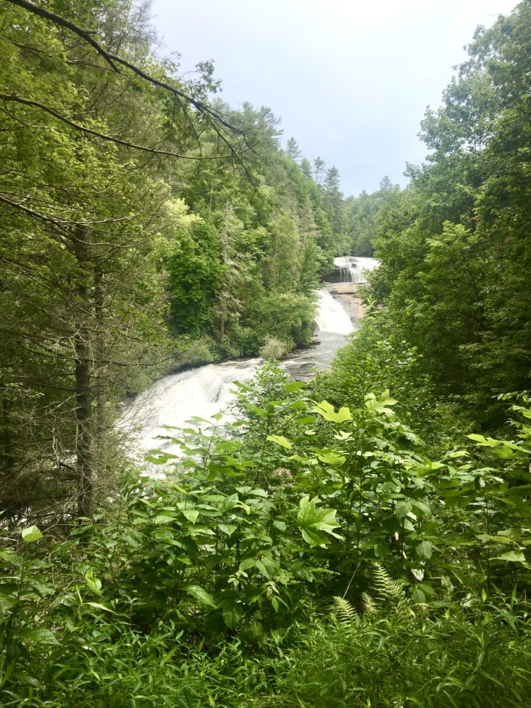 Things to do in Asheville include hiking beautiful trails with waterfalls