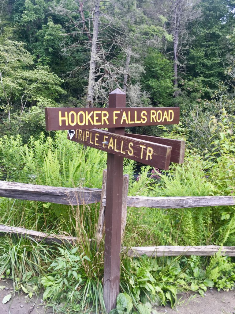 The Hooker Falls Trail Head near Asheville, North Carolina