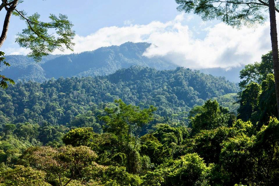 Off-The-Grid-In-the-Costa-Rica-rainforest