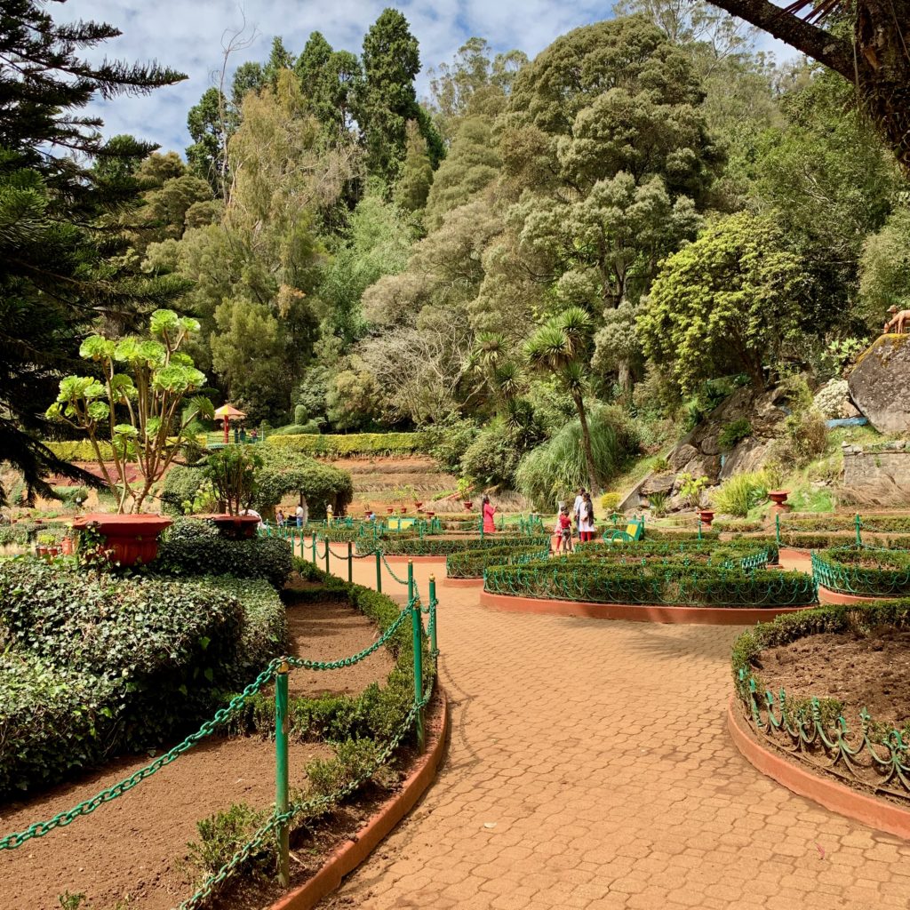 Lets-Be-Merry-Things-To-Do-in-Ooty-botanic-garden