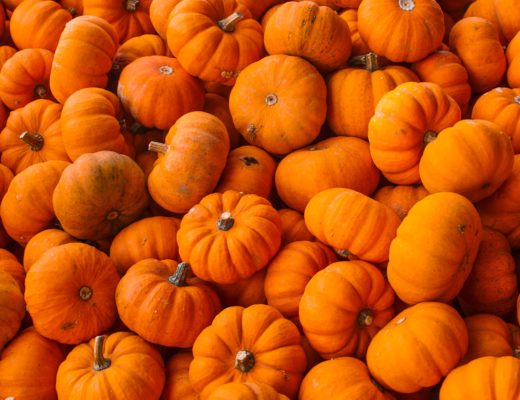 things-to-do-in-november-pumpkins