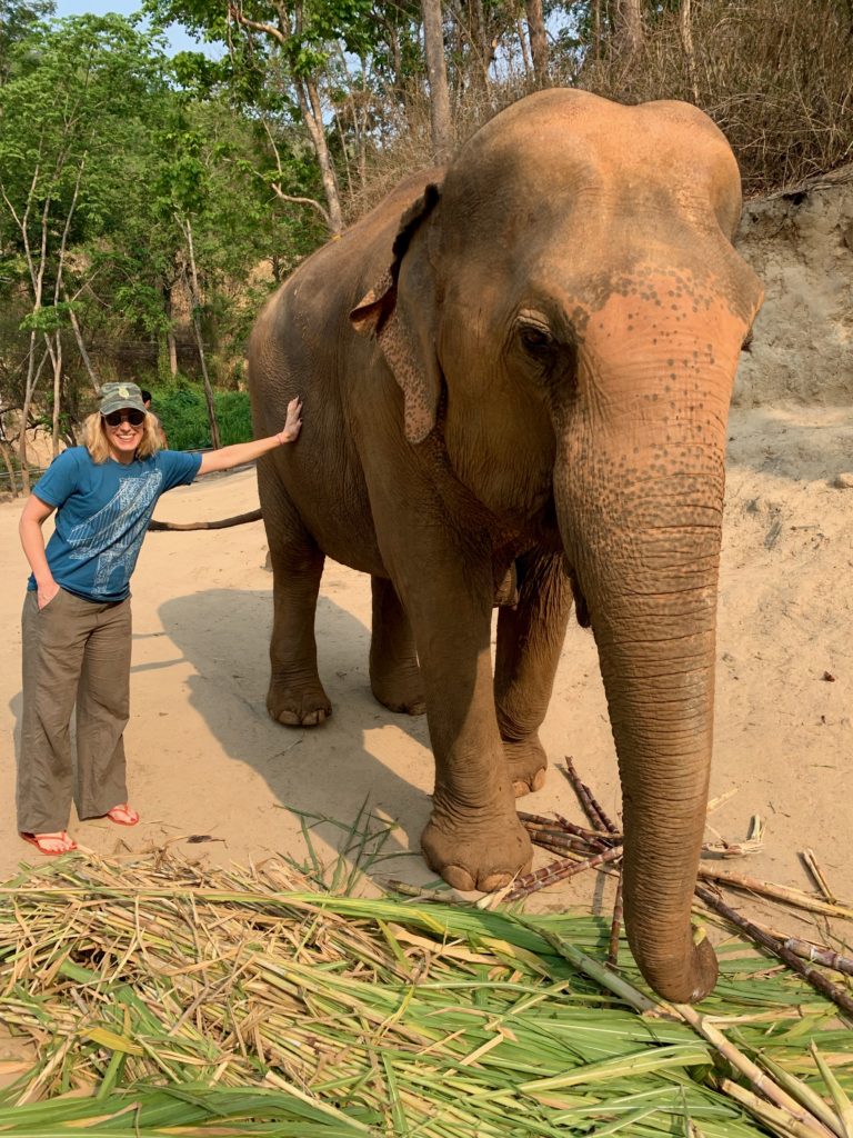 2019-travel-highlights-merry-at-elephant-sanctuary-chiang-mai