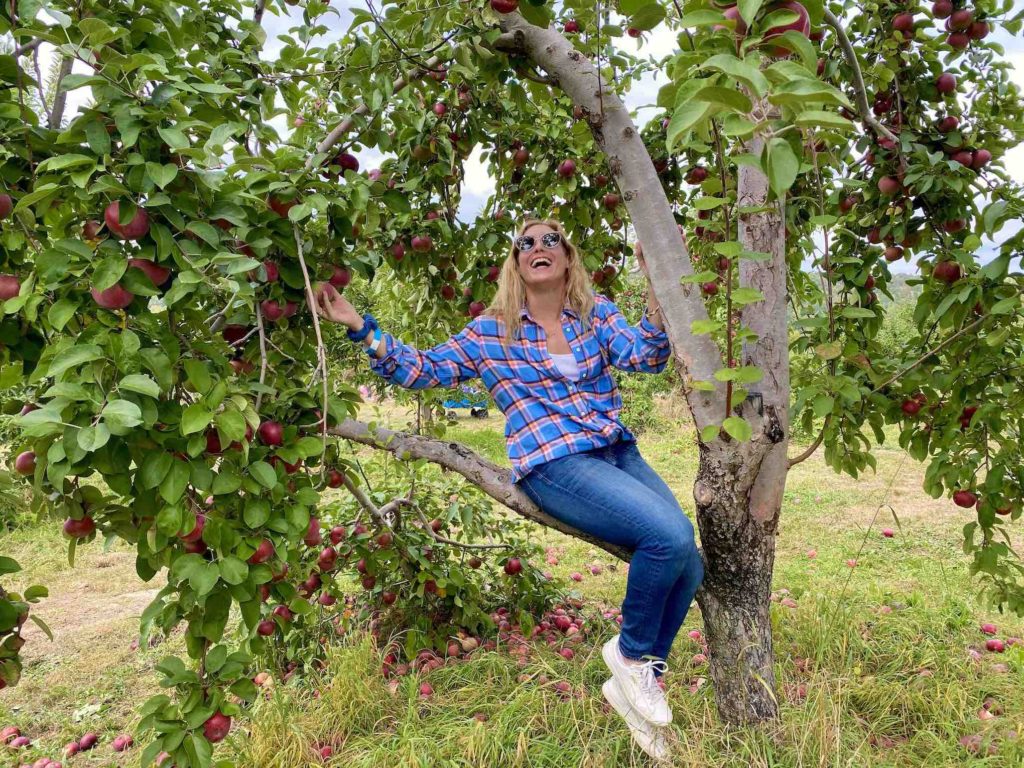 fall-day-trips-from-new-york-city-merry-sitting-in-apple-tree