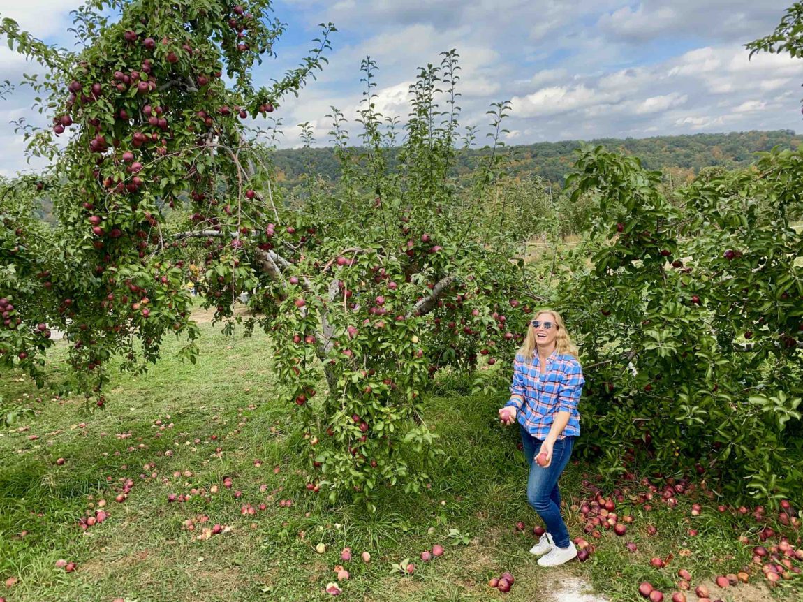 fall-day-trips-from-nyc-merry-apple-picking