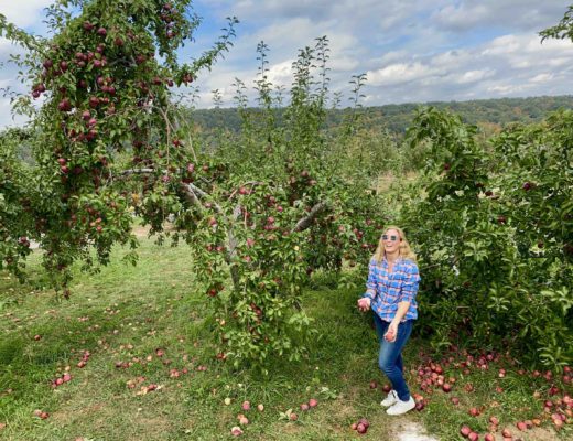 fall-day-trips-from-nyc-merry-apple-picking