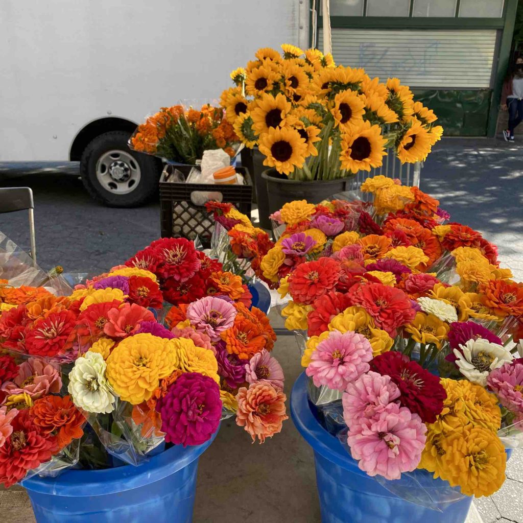 bright-colored-flowers-at-union-square-farmers-market-a-great-thing-to-do-in-nyc