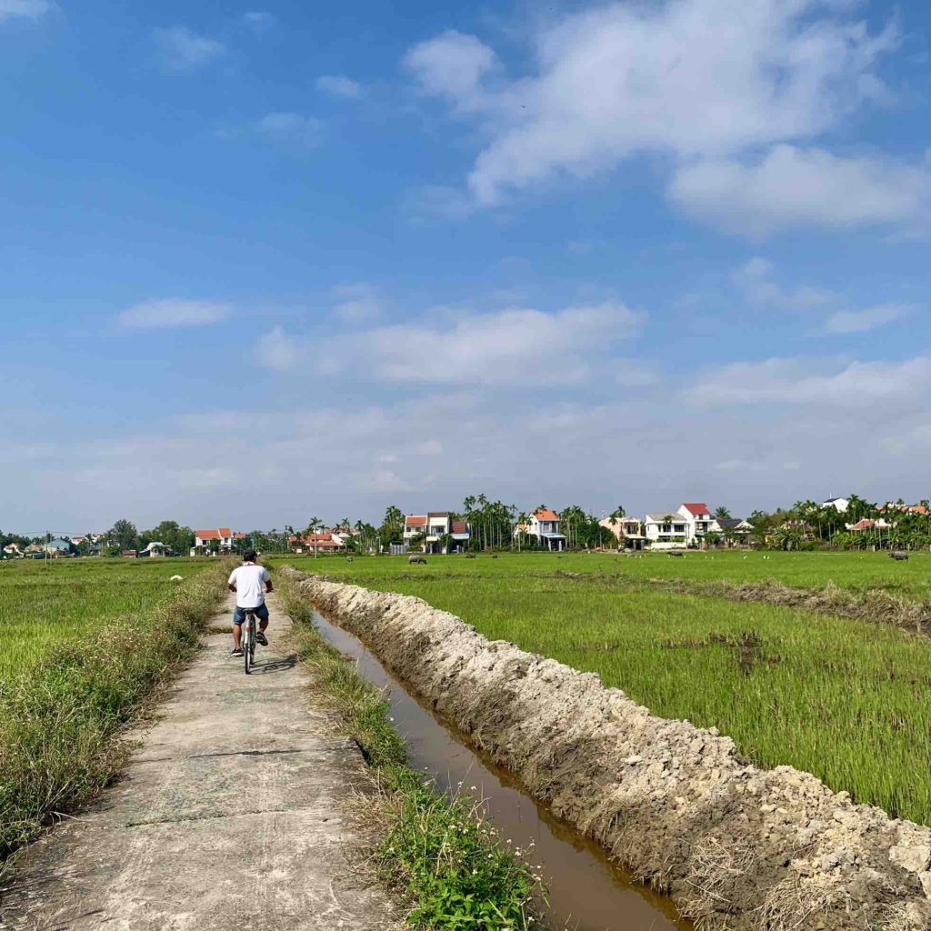 biking-among-rice-paddies-hoi-an-vietnam