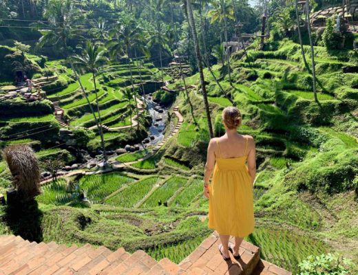 lets-be-merry-taking-in-view-of-rice-terraces-in-bali