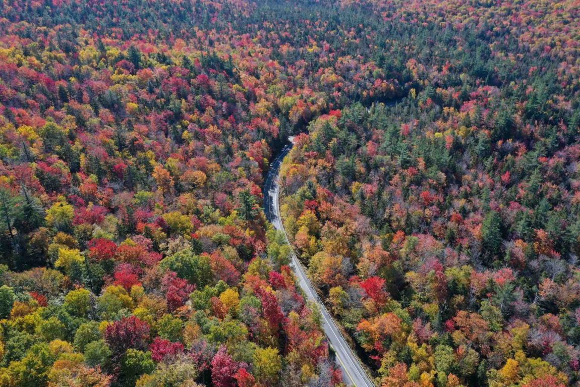 aerial-view-of-new-england-foliage-to-see-on-road-trip