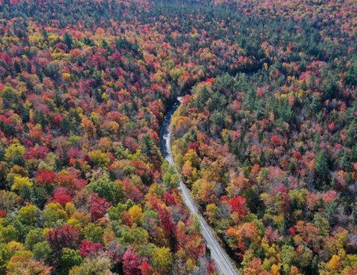 aerial-view-of-new-england-foliage-to-see-on-road-trip