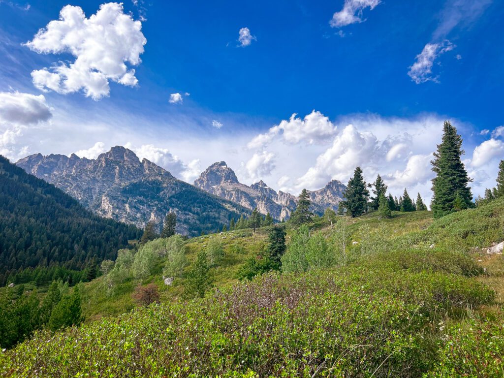 the-grand-tetons-in-the-background-with-a-green-meadow